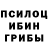 Псилоцибиновые грибы Psilocybe Vladimir Otsevich