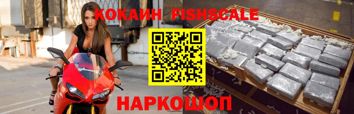 COCAIN FishScale  закладки  COCAIN Эквадор  Камышин 