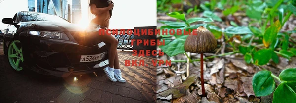 mdma Карпинск