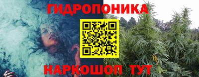 шишки Гагарин