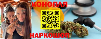 шишки Гагарин