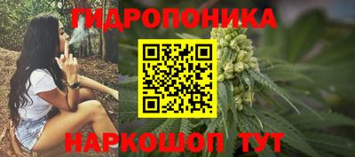 шишки Гагарин
