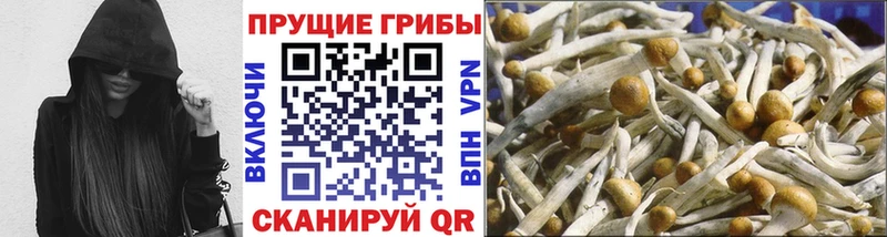 наркошоп  Камышин  Псилоцибиновые грибы Magic Shrooms 