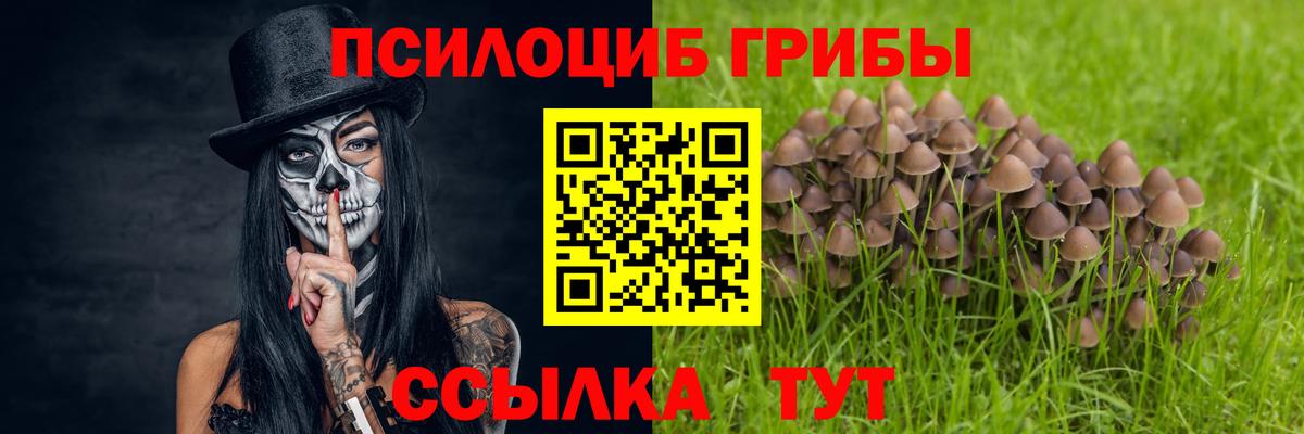 где купить наркотик  Псилоцибиновые грибы мицелий  Галлюциногенные грибы ЛСД  Вход с VPN  Камышин 