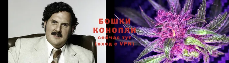 Конопля SATIVA & INDICA  купить   Камышин 