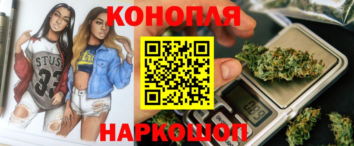 Конопля гибрид Камышин